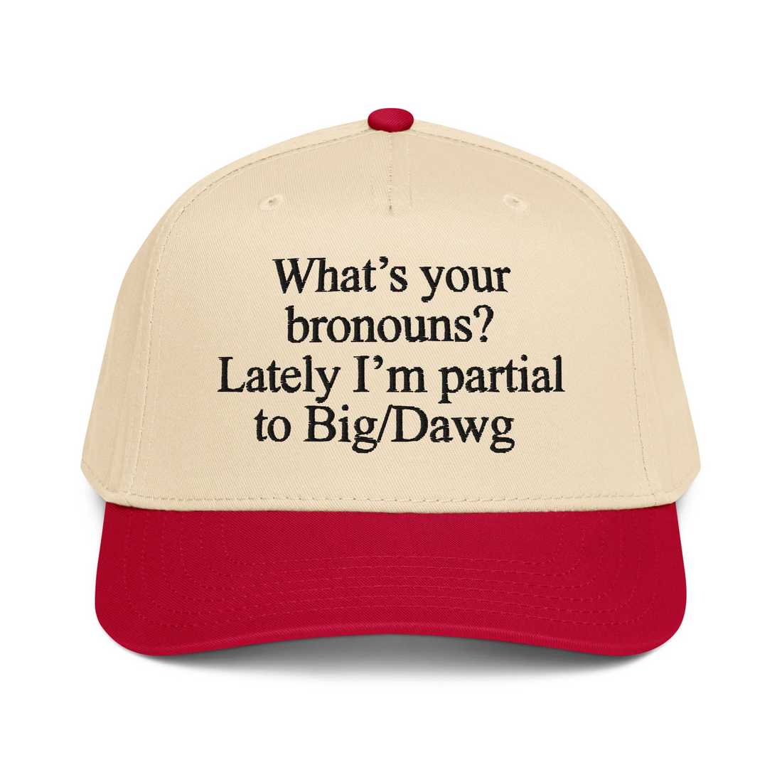 I'm The Primary Breadloser Of My Household Hat.