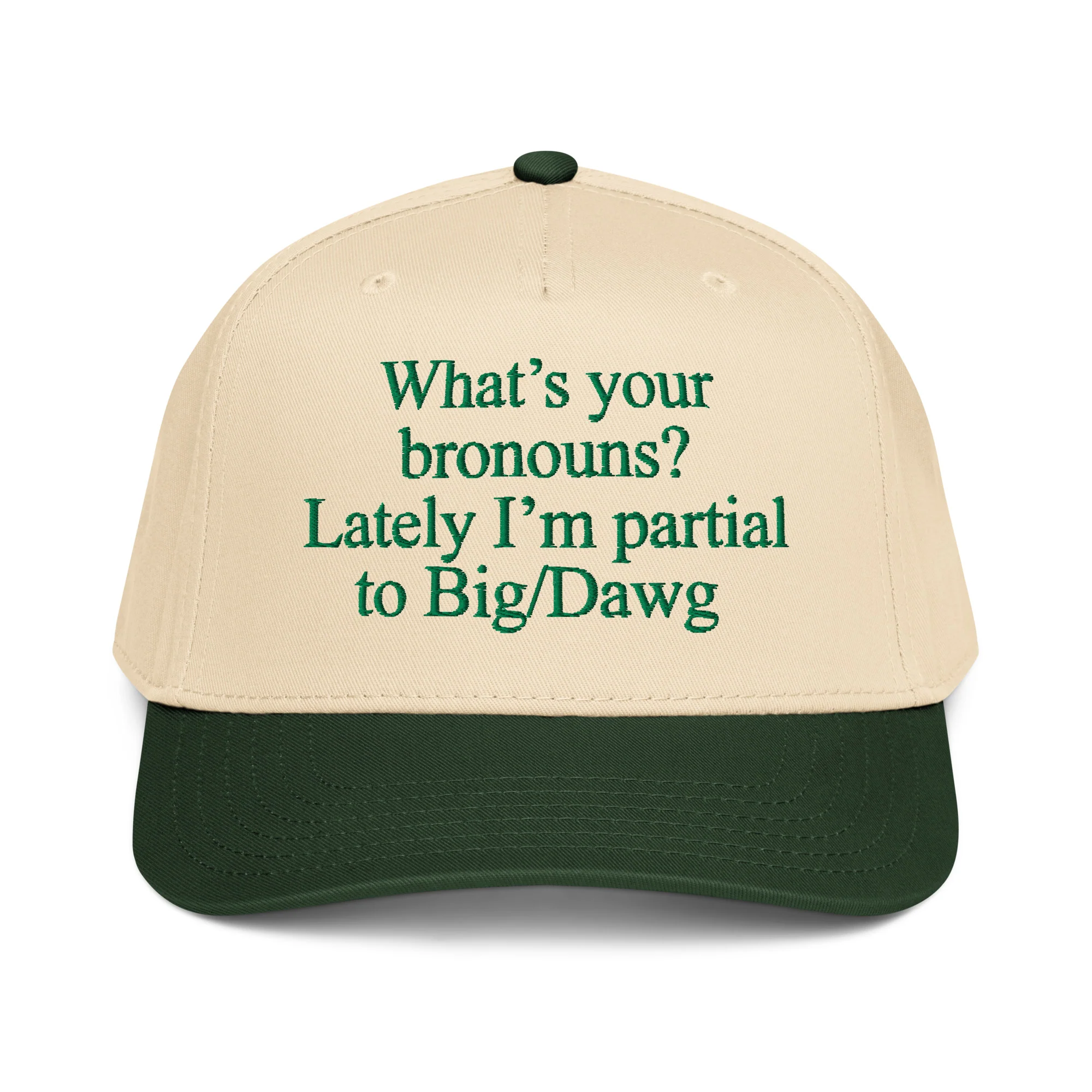 I'm The Primary Breadloser Of My Household Hat.