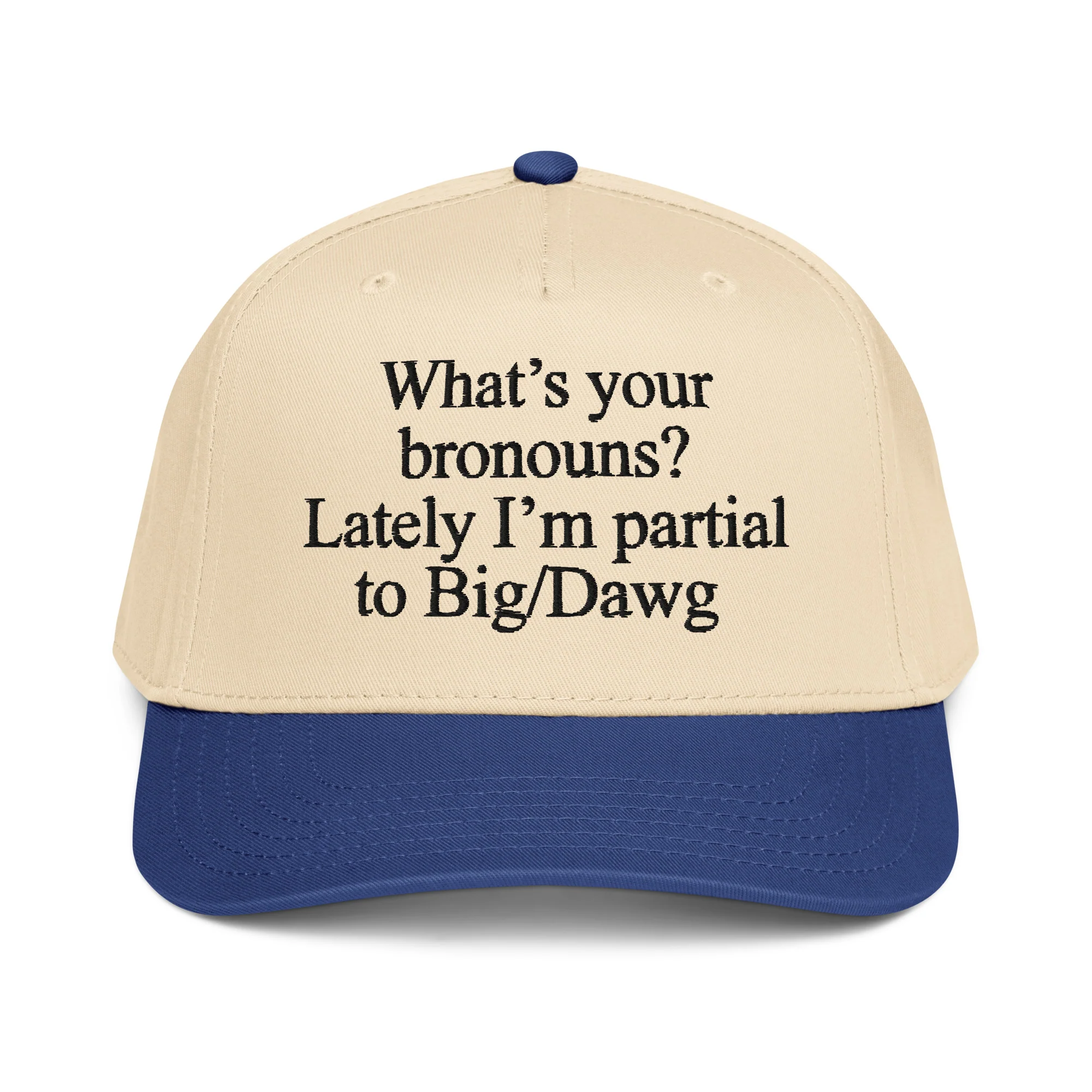 I'm The Primary Breadloser Of My Household Hat.