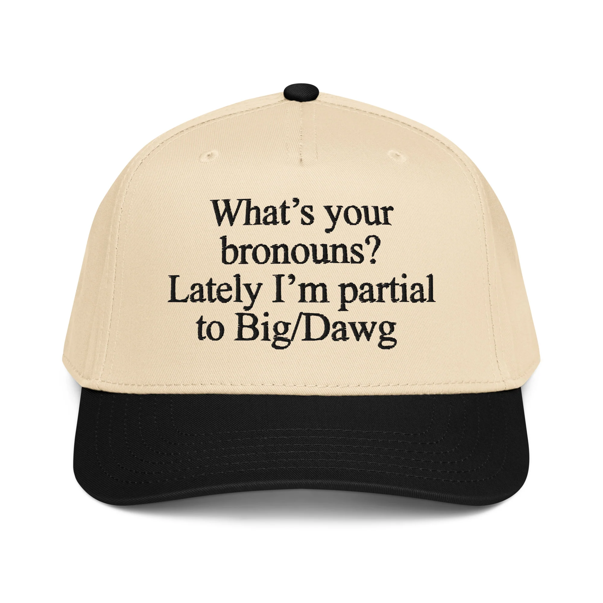I'm The Primary Breadloser Of My Household Hat.